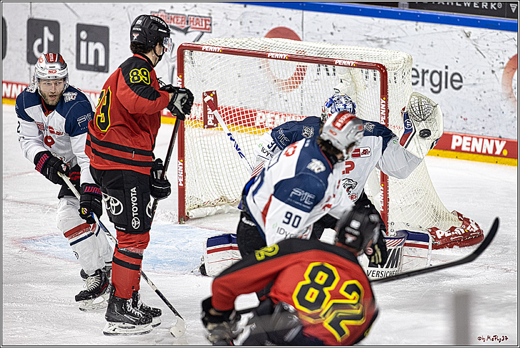 PENNY DEL 1. Koelner Haie - Nürnberg Ice Tigers; Koeln, 17.12.2023