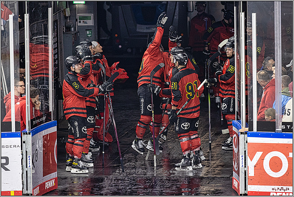 PENNY DEL 1. Koelner Haie - Nürnberg Ice Tigers; Koeln, 17.12.2023