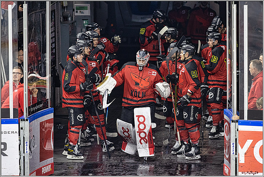 PENNY DEL 1. Koelner Haie - Nürnberg Ice Tigers; Koeln, 17.12.2023