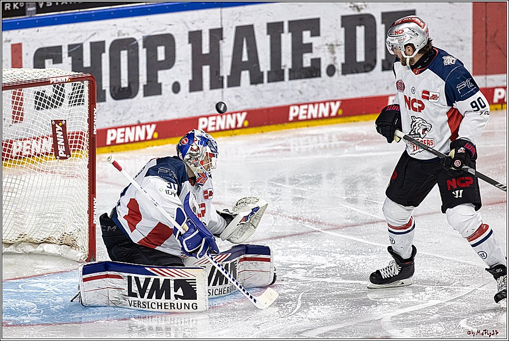 PENNY DEL 1. Koelner Haie - Nürnberg Ice Tigers; Koeln, 17.12.2023