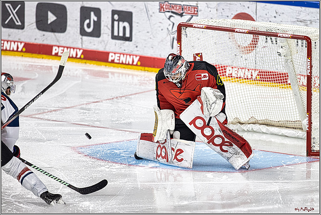 PENNY DEL 1. Koelner Haie - Nürnberg Ice Tigers; Koeln, 17.12.2023