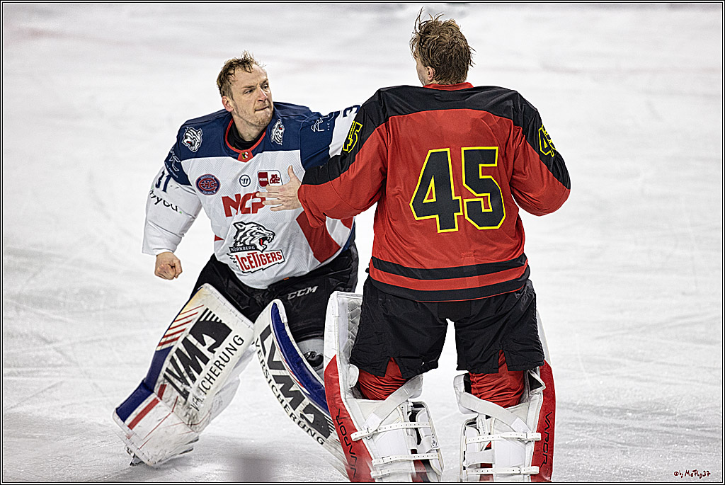 PENNY DEL 1. Koelner Haie - Nürnberg Ice Tigers; Koeln, 17.12.2023