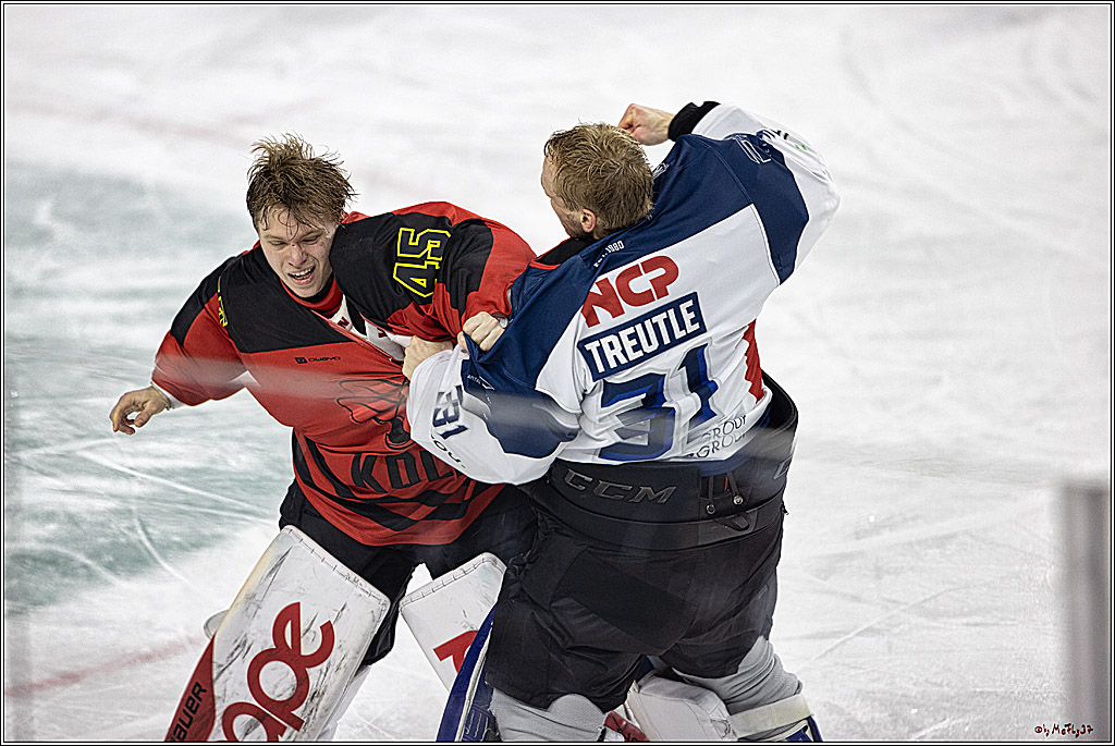 PENNY DEL 1. Koelner Haie - Nürnberg Ice Tigers; Koeln, 17.12.2023