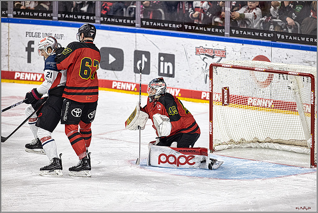 PENNY DEL 1. Koelner Haie - Nürnberg Ice Tigers; Koeln, 17.12.2023