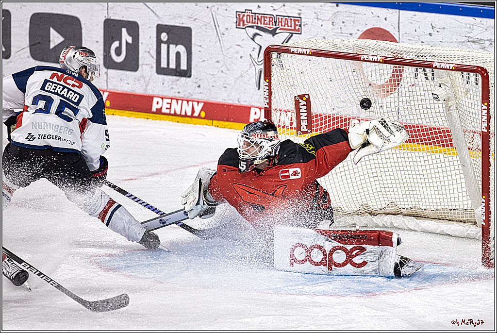 PENNY DEL 1. Koelner Haie - Nürnberg Ice Tigers; Koeln, 17.12.2023