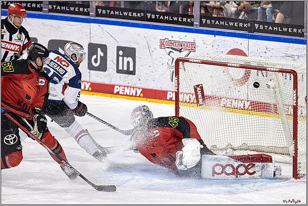 PENNY DEL 1. Koelner Haie - Nürnberg Ice Tigers; Koeln, 17.12.2023