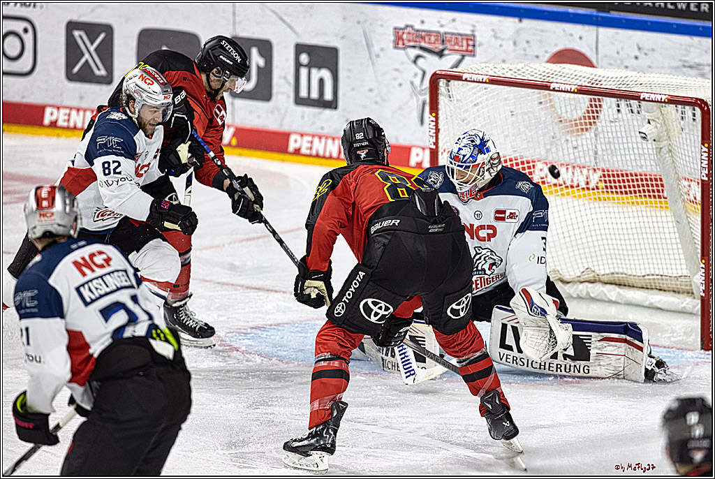 PENNY DEL 1. Koelner Haie - Nürnberg Ice Tigers; Koeln, 17.12.2023