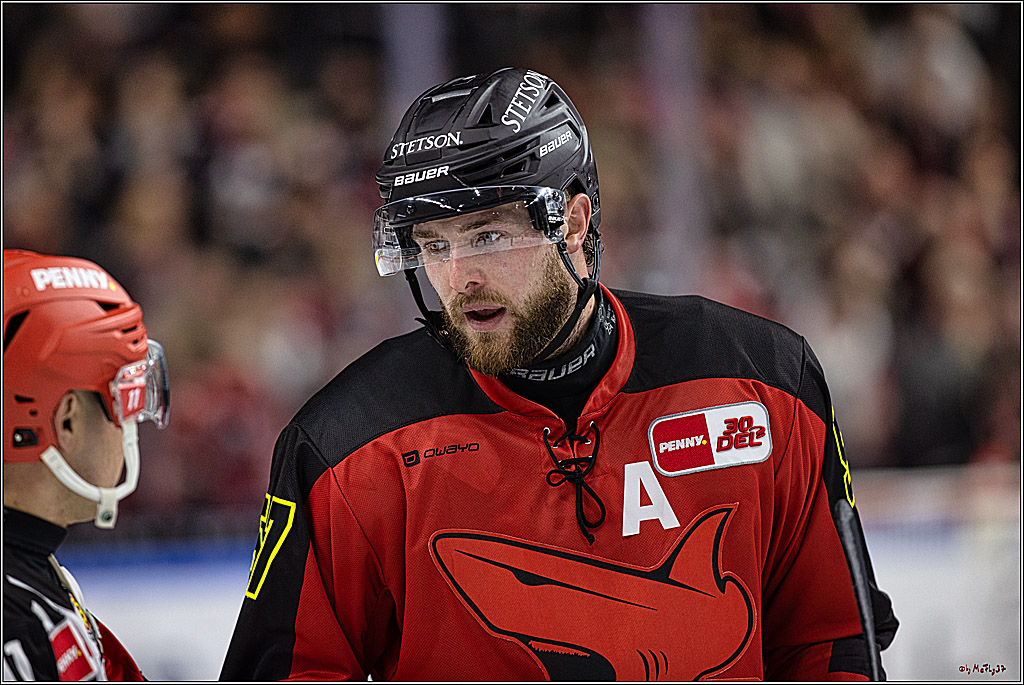 PENNY DEL 1. Koelner Haie - Nürnberg Ice Tigers; Koeln, 17.12.2023