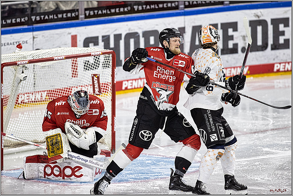 PENNY DEL 1. Kölner Haie - Grizzlys Wolfsburg; Köln, 21.12.2023