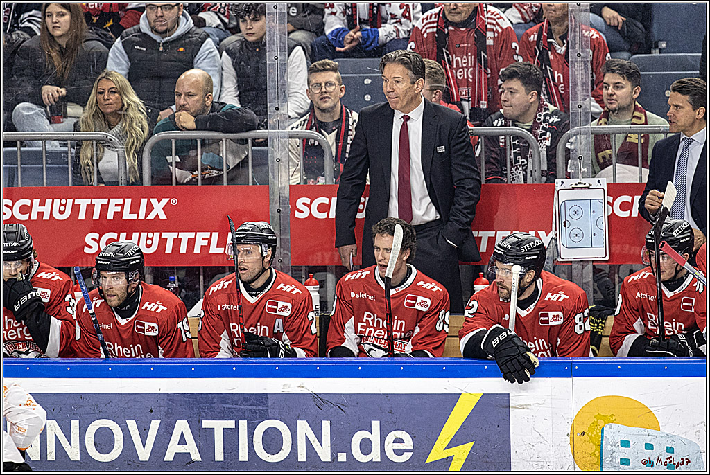 PENNY DEL 1. Kölner Haie - Grizzlys Wolfsburg; Köln, 21.12.2023
