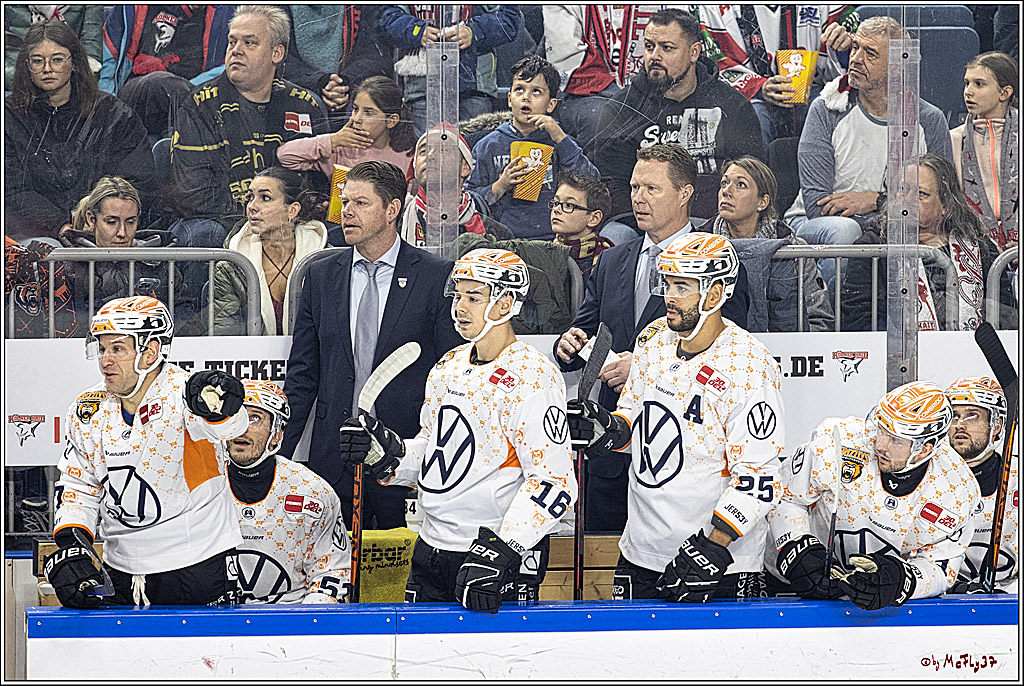 PENNY DEL 1. Kölner Haie - Grizzlys Wolfsburg; Köln, 21.12.2023