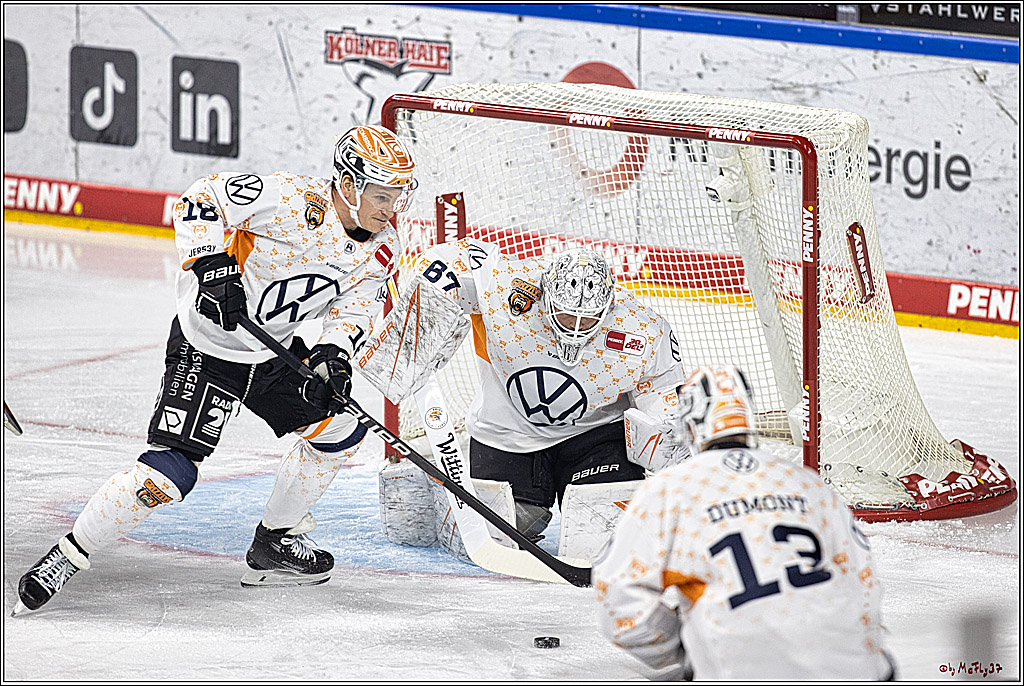 PENNY DEL 1. Kölner Haie - Grizzlys Wolfsburg; Köln, 21.12.2023