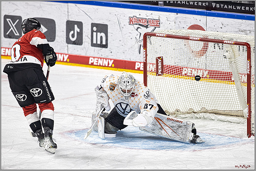 PENNY DEL 1. Kölner Haie - Grizzlys Wolfsburg; Köln, 21.12.2023