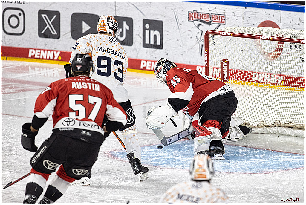 PENNY DEL 1. Kölner Haie - Grizzlys Wolfsburg; Köln, 21.12.2023