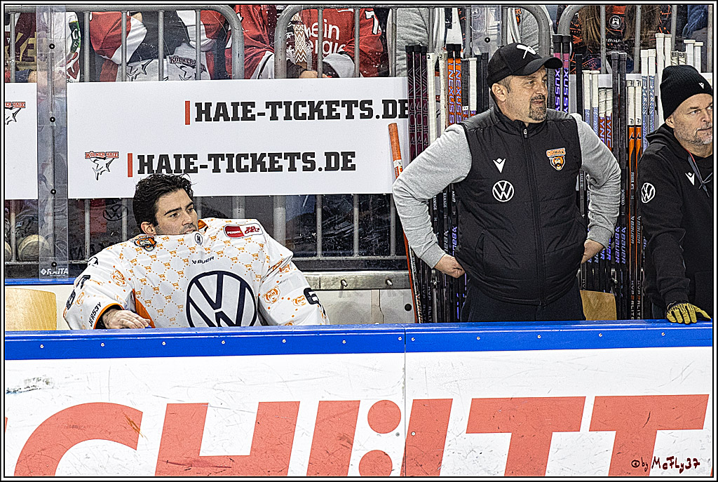 PENNY DEL 1. Kölner Haie - Grizzlys Wolfsburg; Köln, 21.12.2023