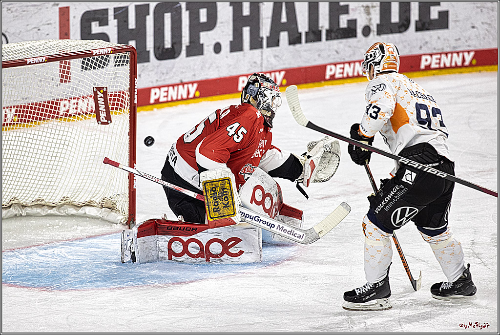 PENNY DEL 1. Kölner Haie - Grizzlys Wolfsburg; Köln, 21.12.2023