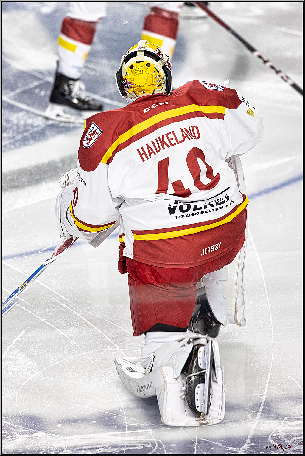 PENNY DEL 1. Kölner Haie -Düsseldorfer EG ; Köln, 28.12.2023