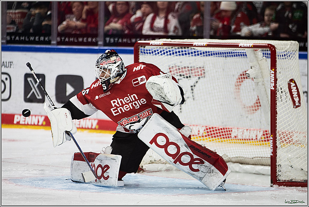 PENNY DEL; Koelner Haie- Duesseldorfer EG; Koeln, 28.12.2023