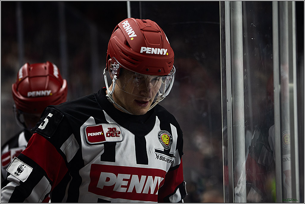 PENNY DEL; Koelner Haie- Duesseldorfer EG; Koeln, 28.12.2023