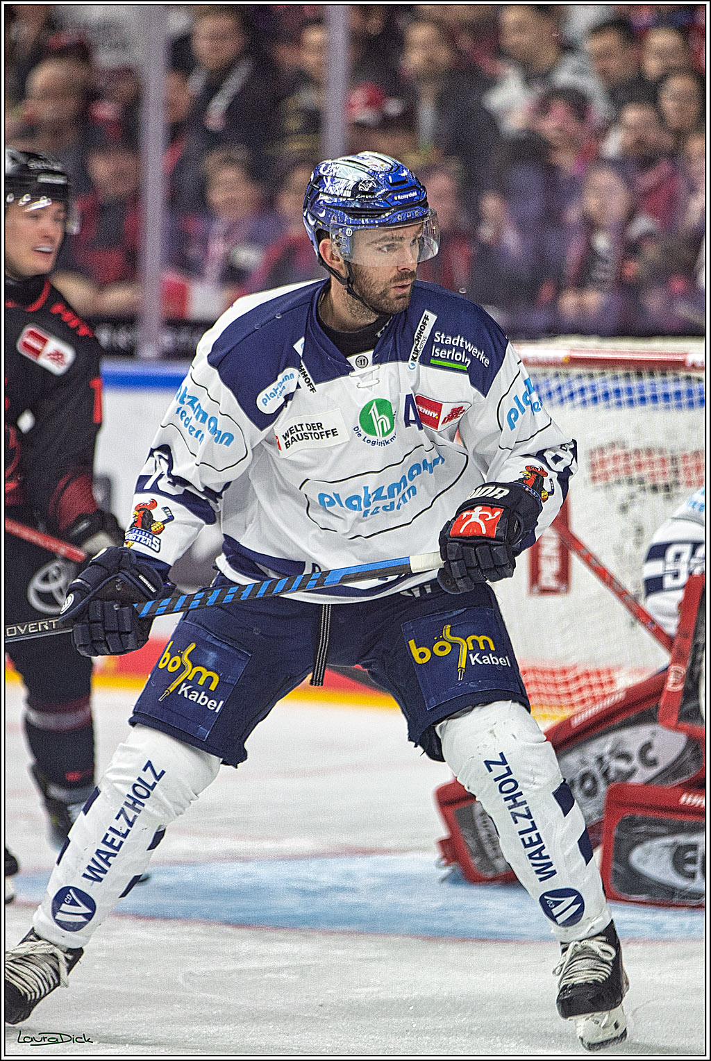 PENNY DEL; Koelner Haie- Iserlohn Roosters; Koeln, 02.01.2024