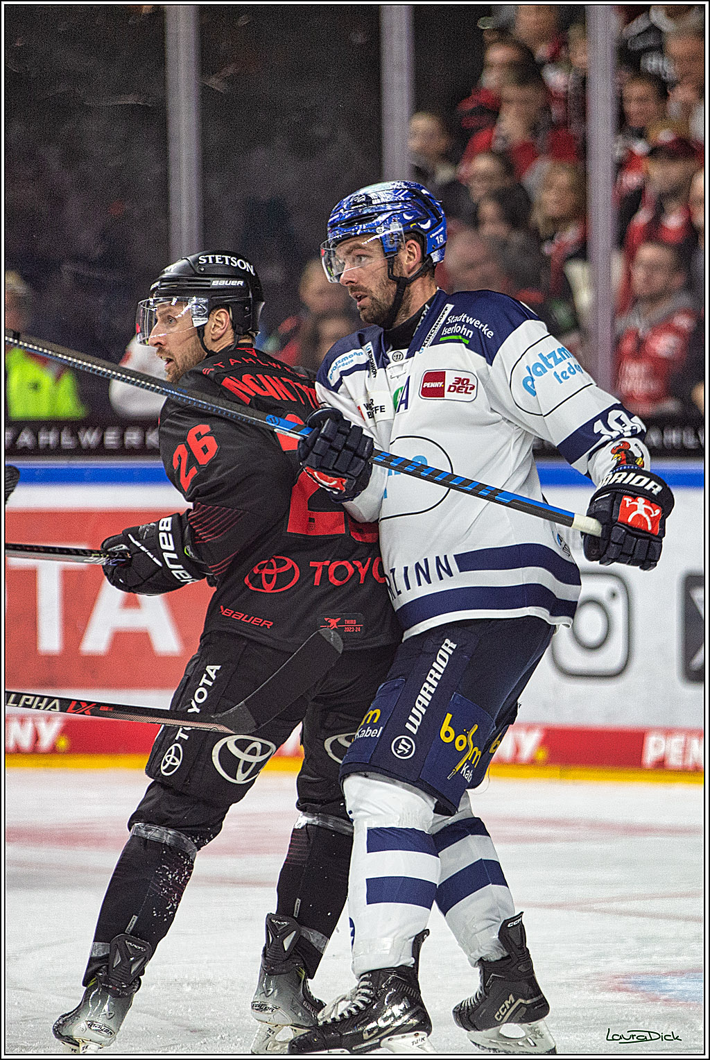 PENNY DEL; Koelner Haie- Iserlohn Roosters; Koeln, 02.01.2024