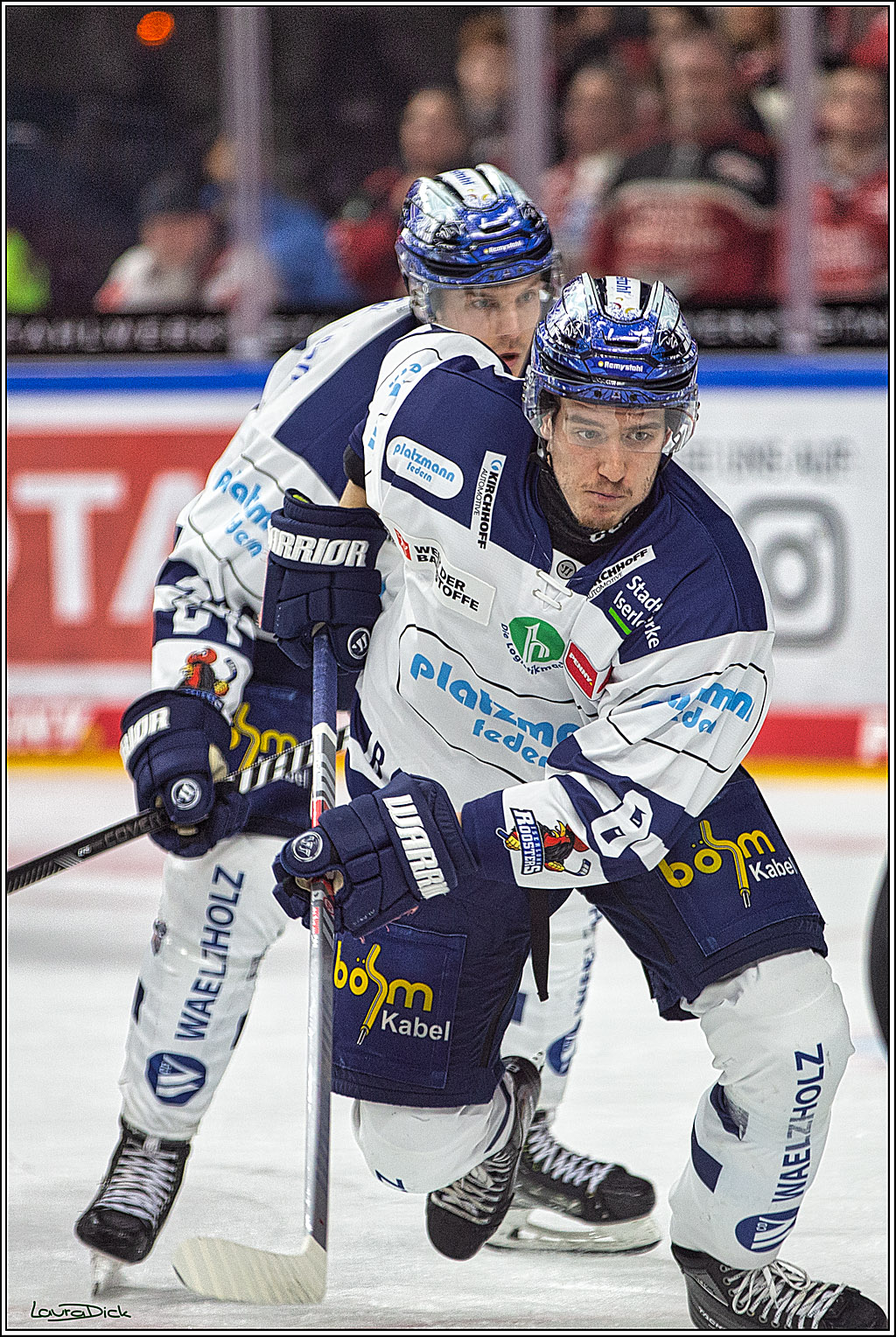 PENNY DEL; Koelner Haie- Iserlohn Roosters; Koeln, 02.01.2024