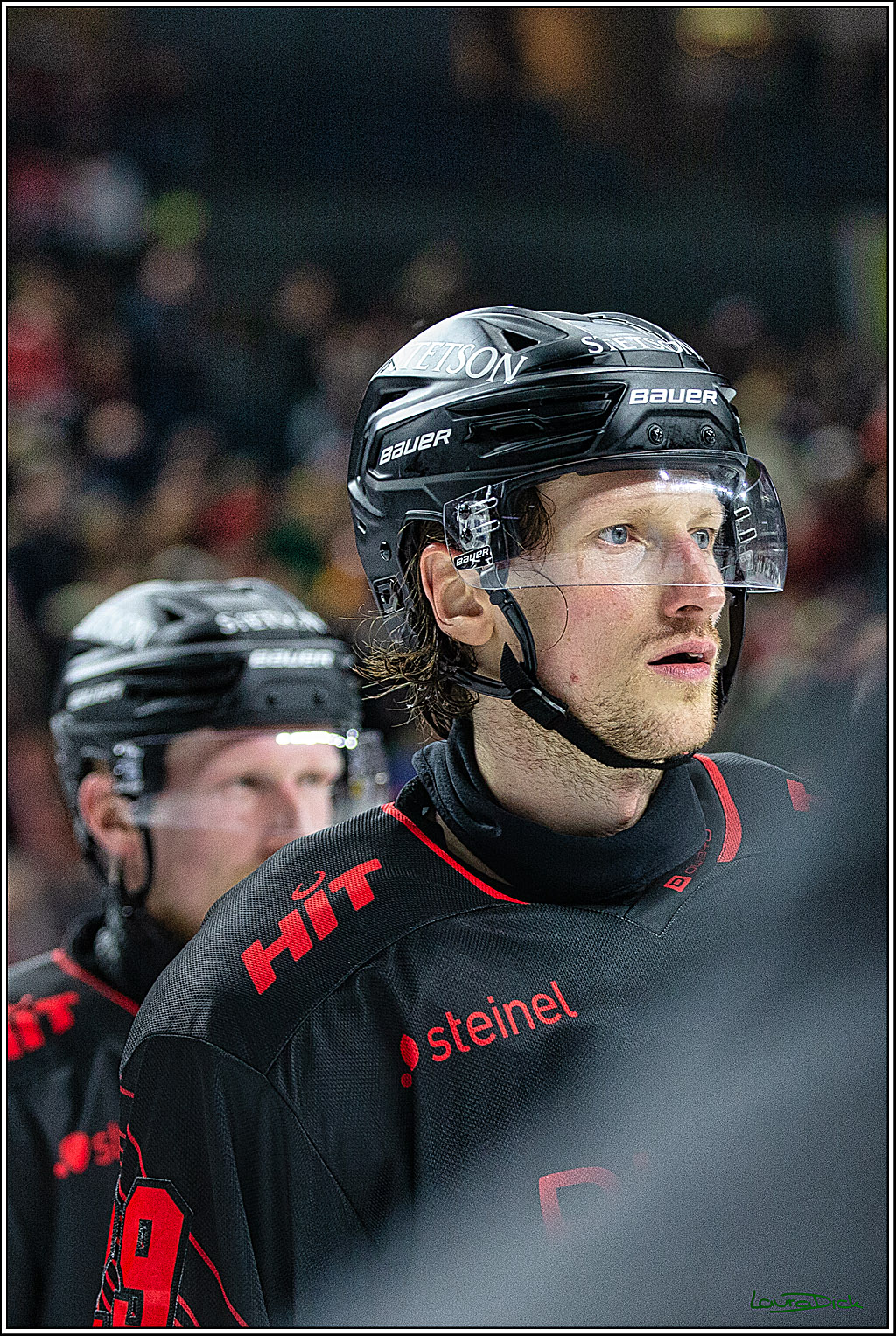 PENNY DEL; Koelner Haie- Iserlohn Roosters; Koeln, 02.01.2024