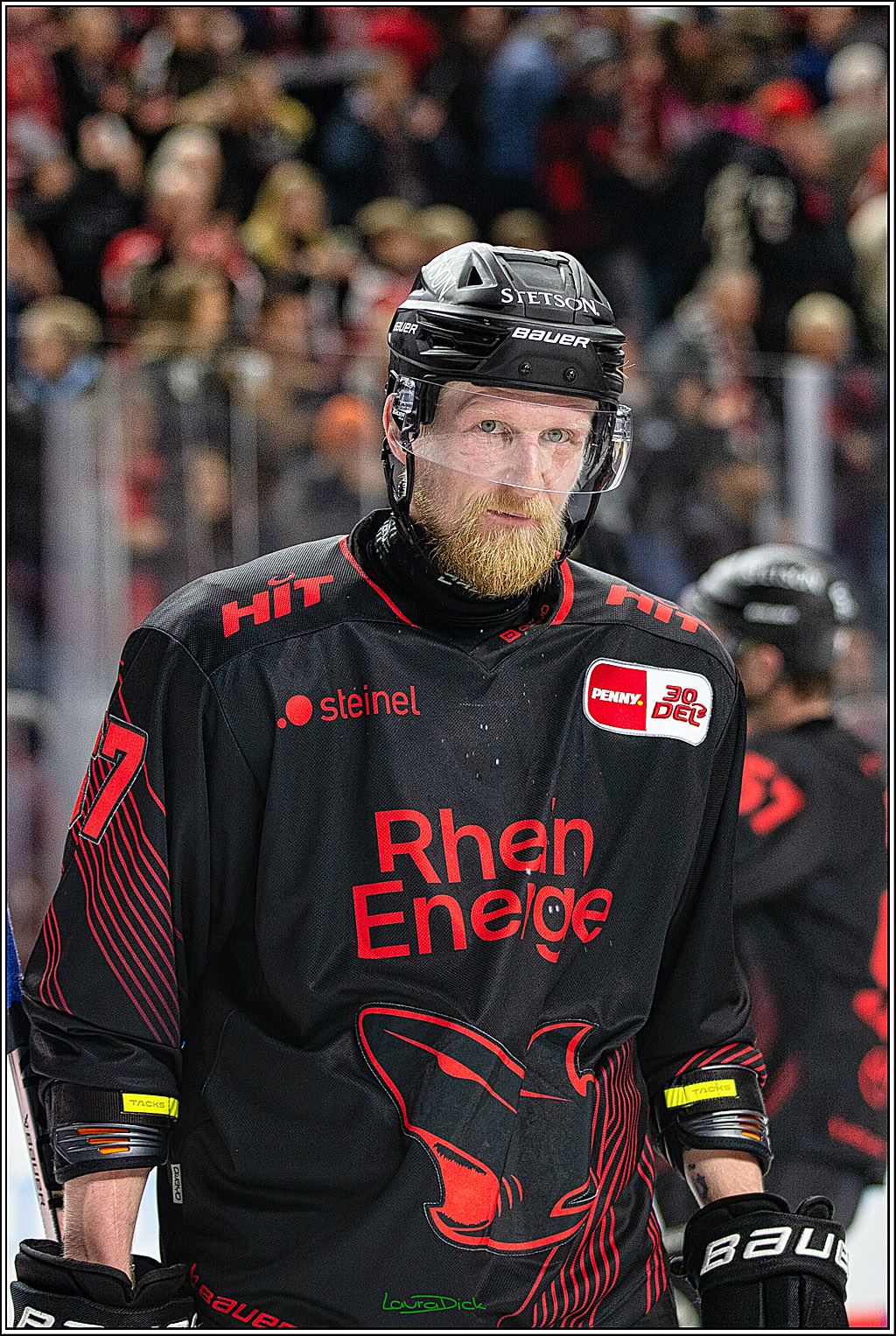 PENNY DEL; Koelner Haie- Iserlohn Roosters; Koeln, 02.01.2024