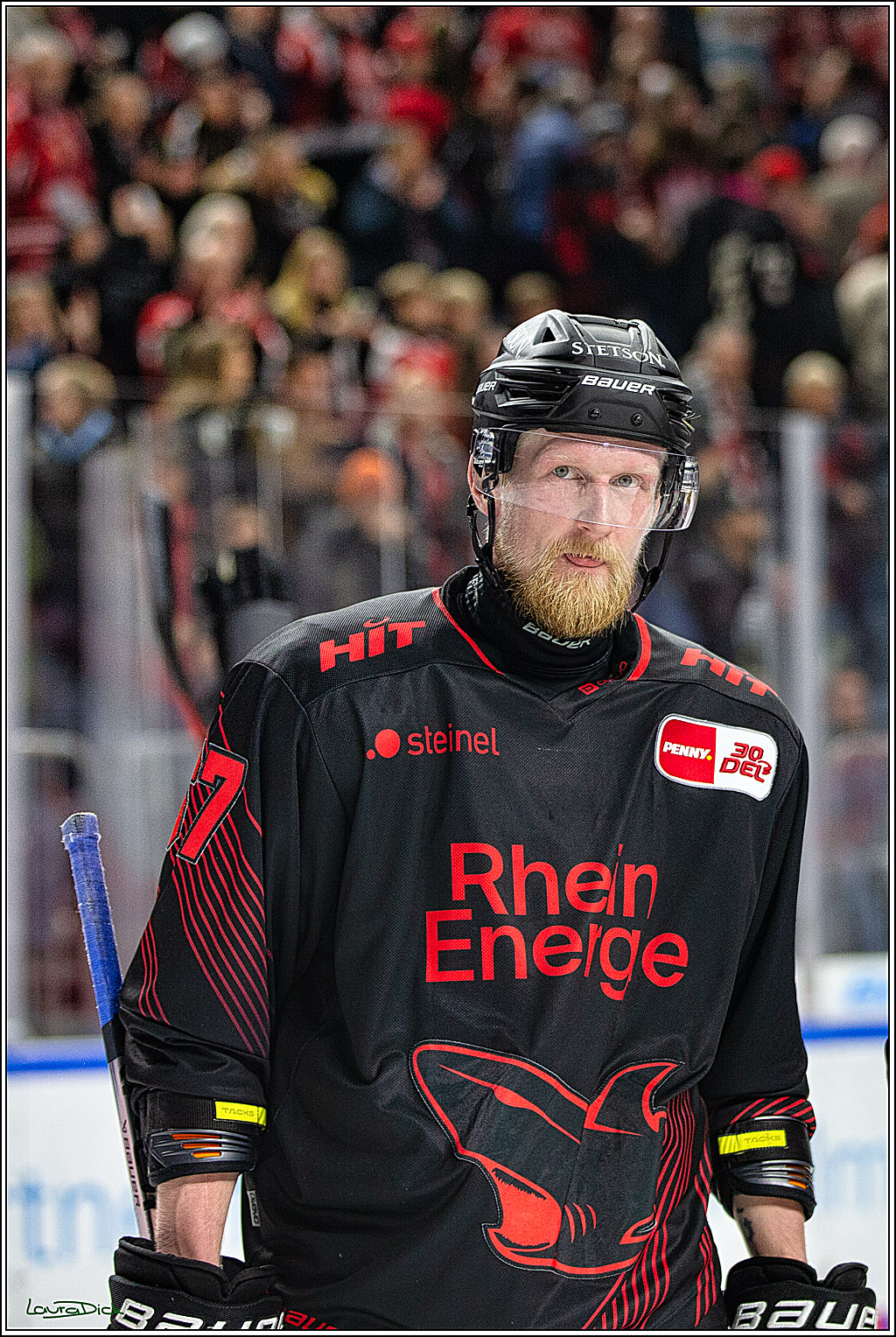 PENNY DEL; Koelner Haie- Iserlohn Roosters; Koeln, 02.01.2024