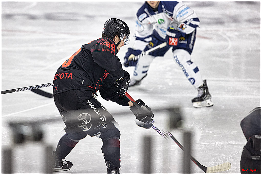 PENNY DEL 1: Kölner Haie -Iserlohn Roosters; Köln, 02.01.2024