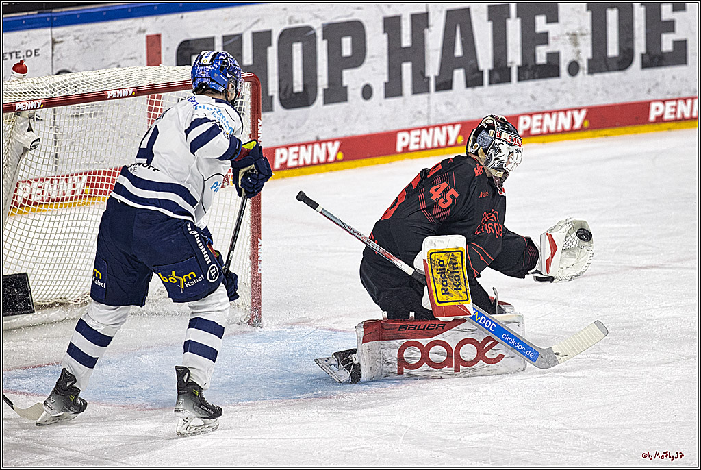 PENNY DEL 1: Kölner Haie -Iserlohn Roosters; Köln, 02.01.2024