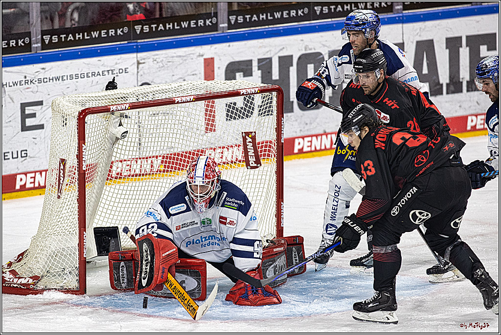 PENNY DEL 1: Kölner Haie -Iserlohn Roosters; Köln, 02.01.2024