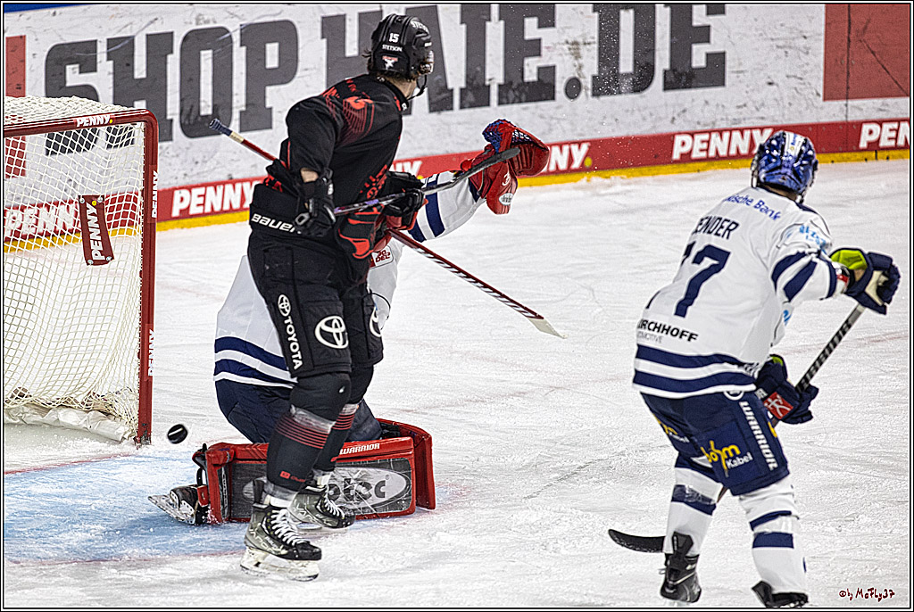 PENNY DEL 1: Kölner Haie -Iserlohn Roosters; Köln, 02.01.2024
