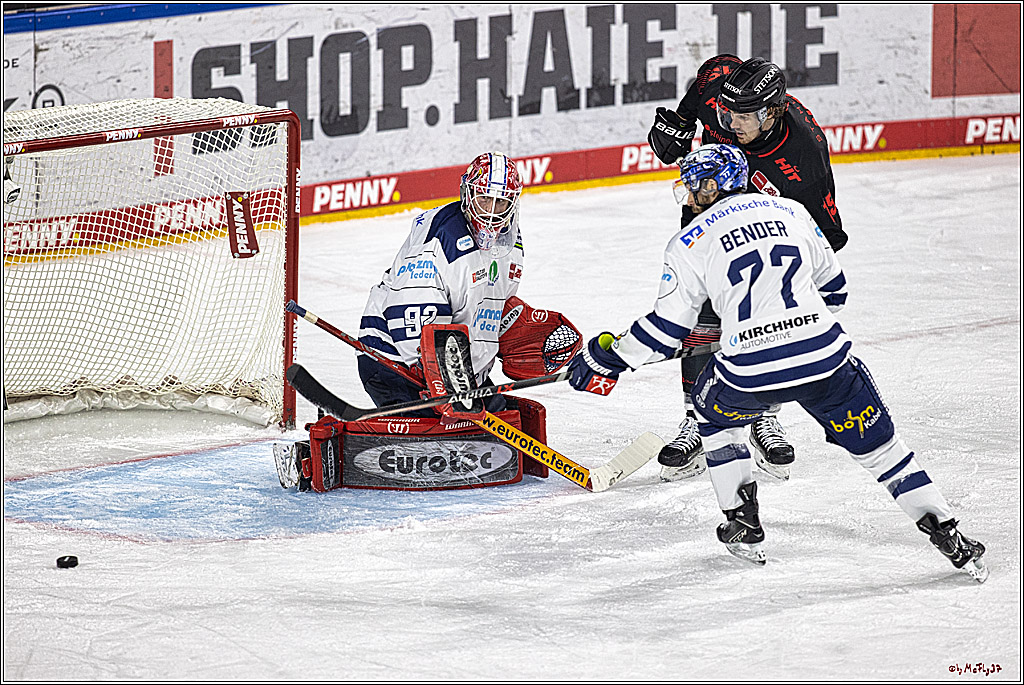 PENNY DEL 1: Kölner Haie -Iserlohn Roosters; Köln, 02.01.2024