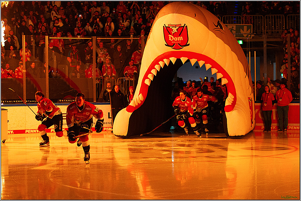 PENNY DEL; Koelner Haie- Schwenninger Wild Wings; Koeln, 14.01.2024