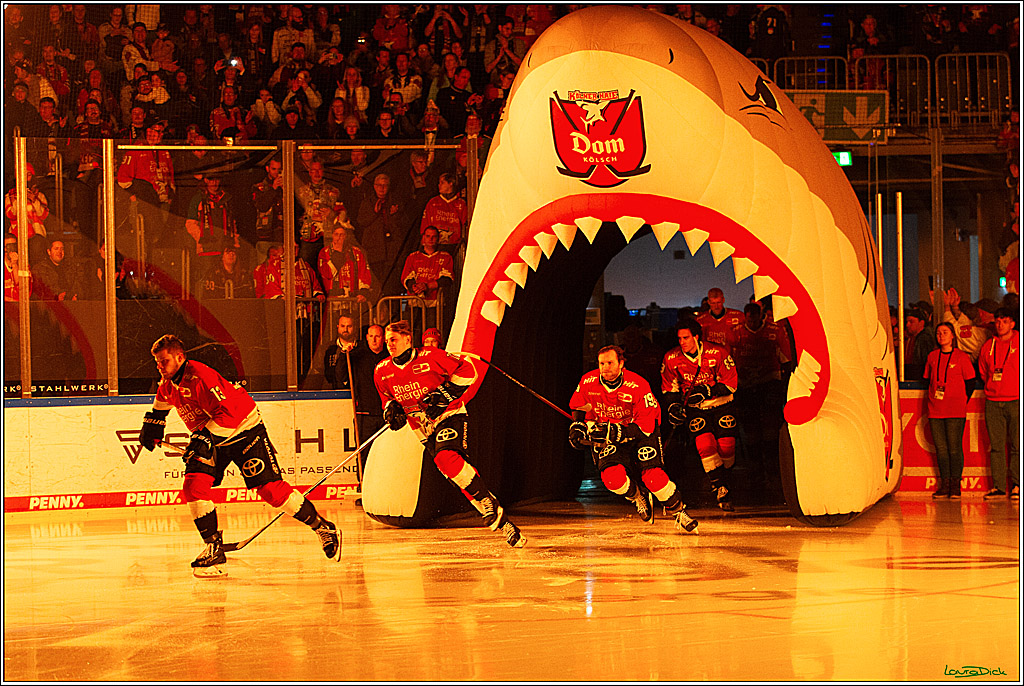 PENNY DEL; Koelner Haie- Schwenninger Wild Wings; Koeln, 14.01.2024