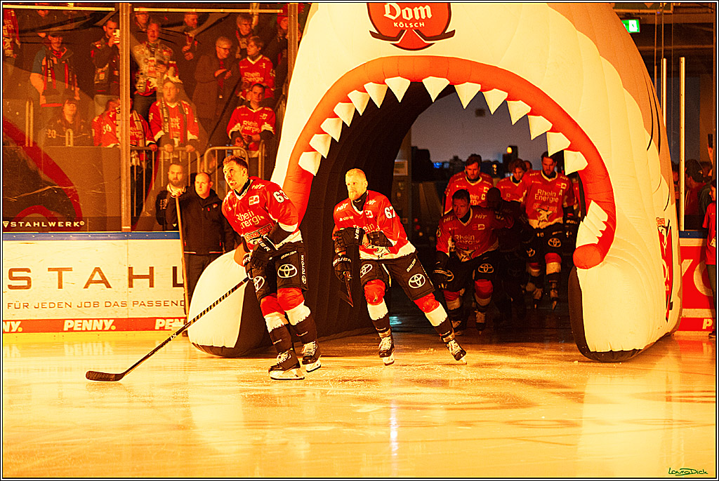 PENNY DEL; Koelner Haie- Schwenninger Wild Wings; Koeln, 14.01.2024