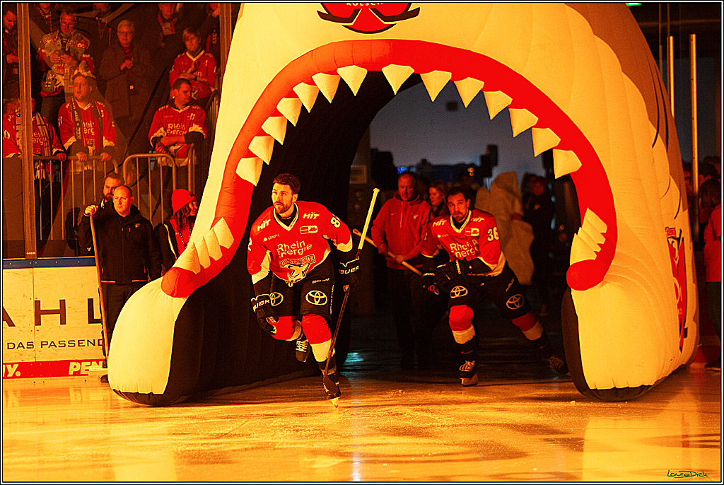 PENNY DEL; Koelner Haie- Schwenninger Wild Wings; Koeln, 14.01.2024