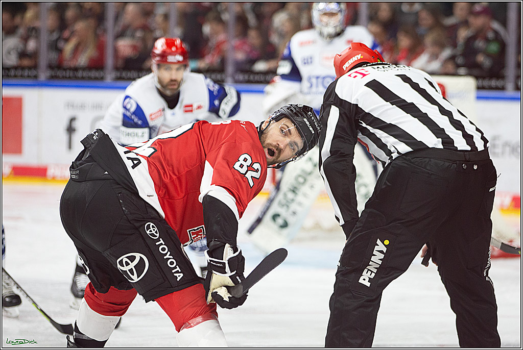 PENNY DEL; Koelner Haie- Schwenninger Wild Wings; Koeln, 14.01.2024