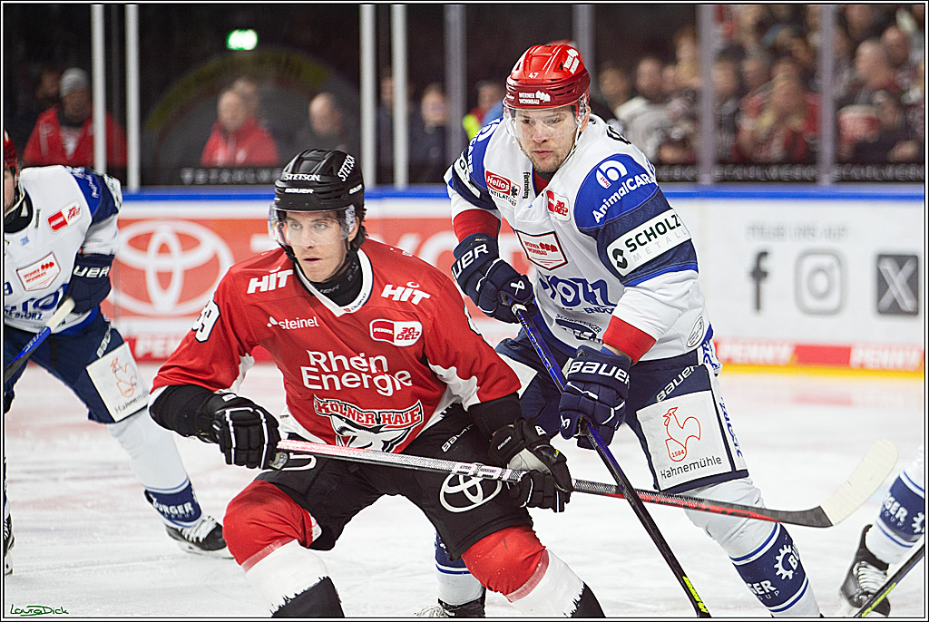 PENNY DEL; Koelner Haie- Schwenninger Wild Wings; Koeln, 14.01.2024