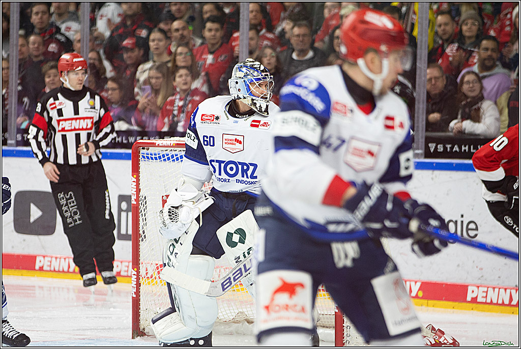 PENNY DEL; Koelner Haie- Schwenninger Wild Wings; Koeln, 14.01.2024