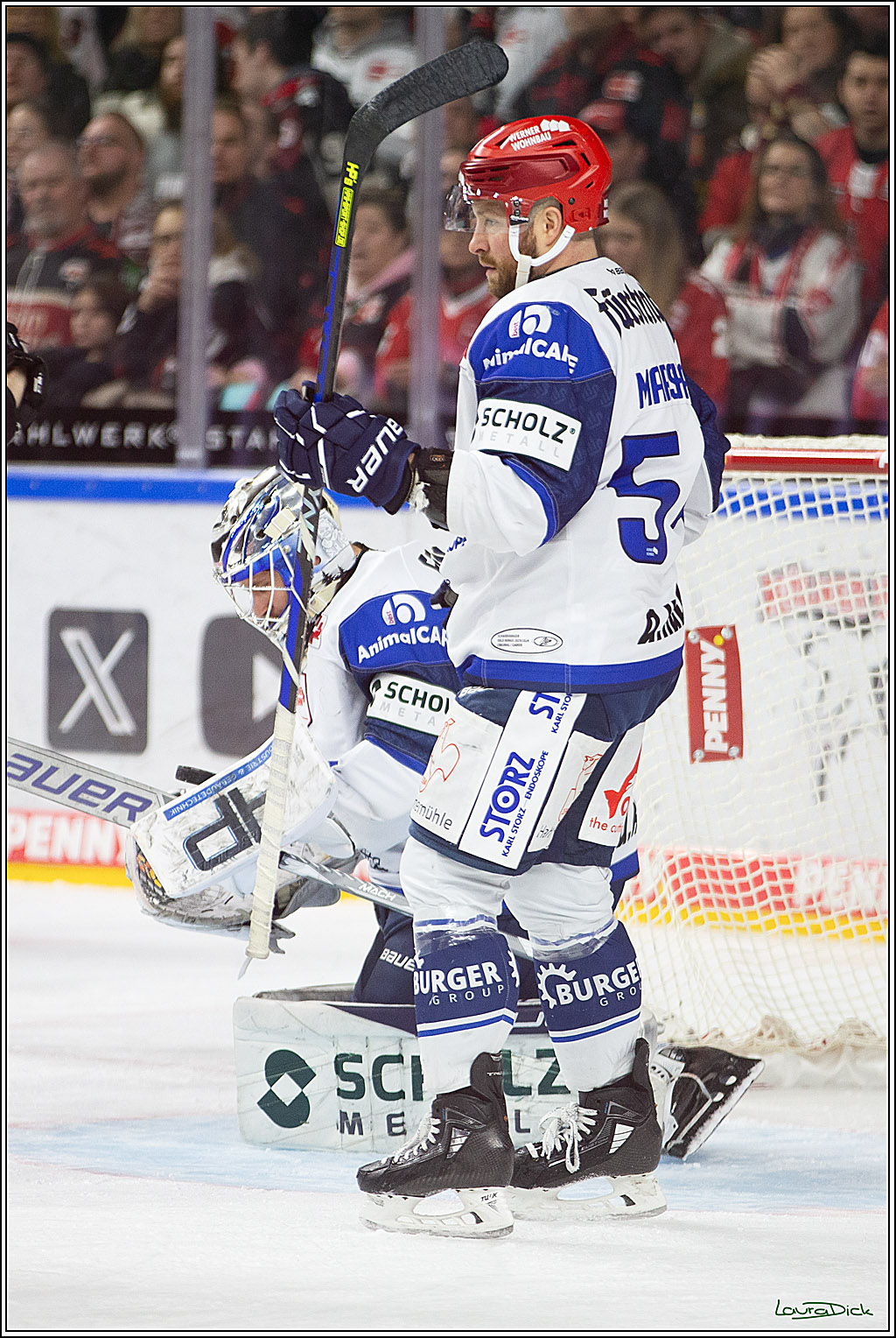 PENNY DEL; Koelner Haie- Schwenninger Wild Wings; Koeln, 14.01.2024