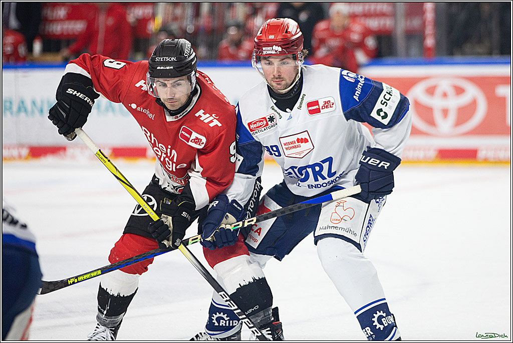 PENNY DEL; Koelner Haie- Schwenninger Wild Wings; Koeln, 14.01.2024