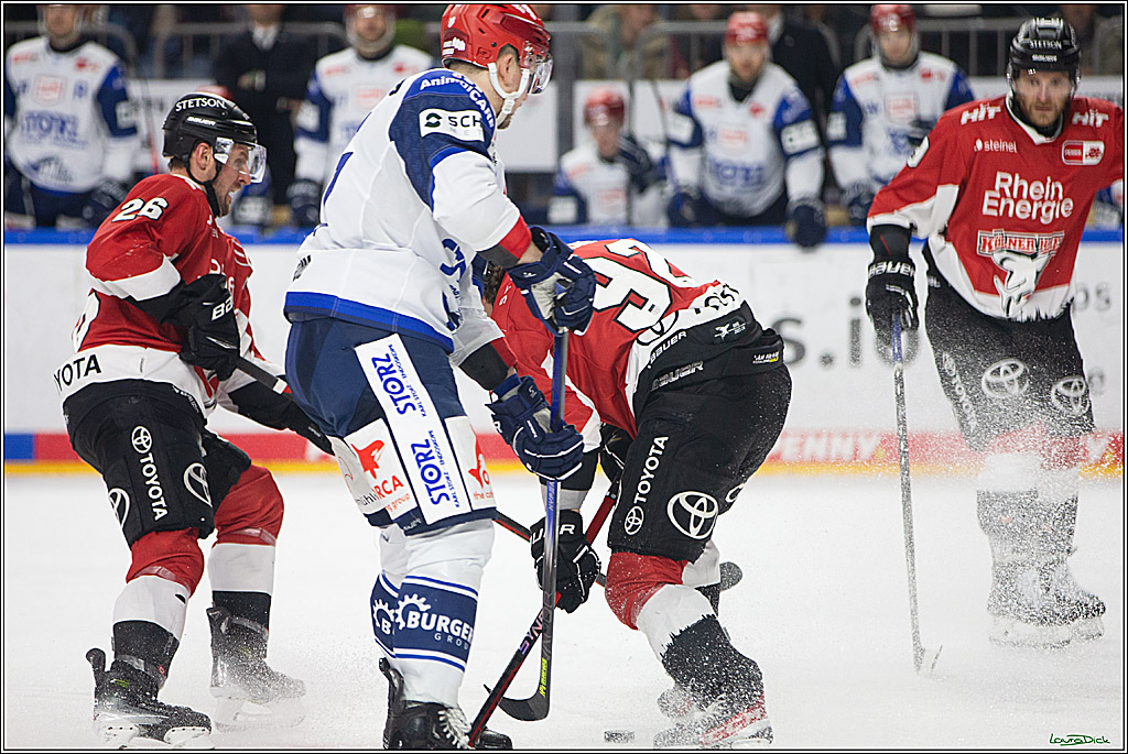 PENNY DEL; Koelner Haie- Schwenninger Wild Wings; Koeln, 14.01.2024