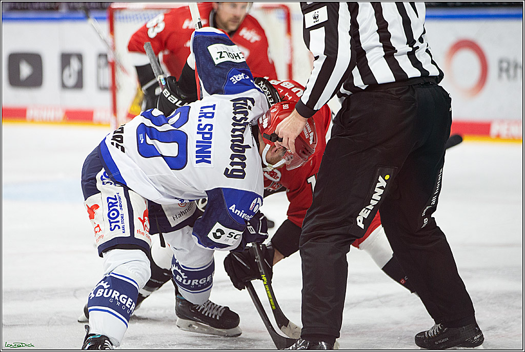 PENNY DEL; Koelner Haie- Schwenninger Wild Wings; Koeln, 14.01.2024