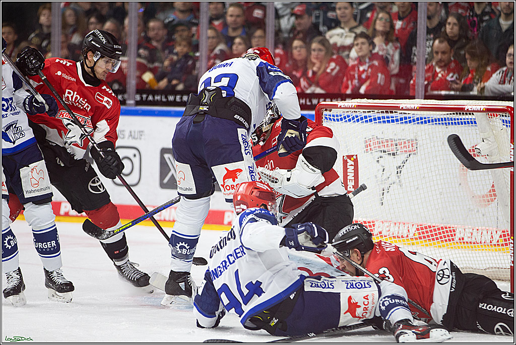 PENNY DEL; Koelner Haie- Schwenninger Wild Wings; Koeln, 14.01.2024