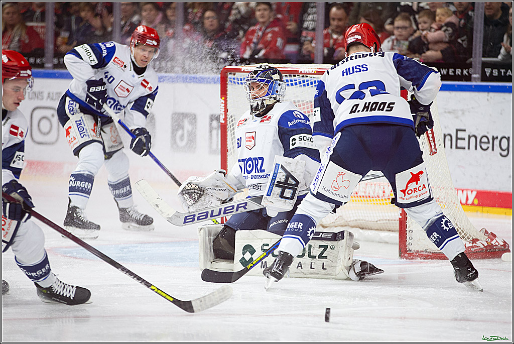 PENNY DEL; Koelner Haie- Schwenninger Wild Wings; Koeln, 14.01.2024