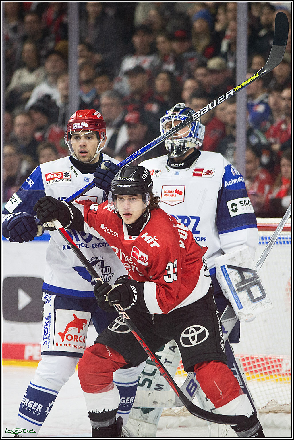PENNY DEL; Koelner Haie- Schwenninger Wild Wings; Koeln, 14.01.2024