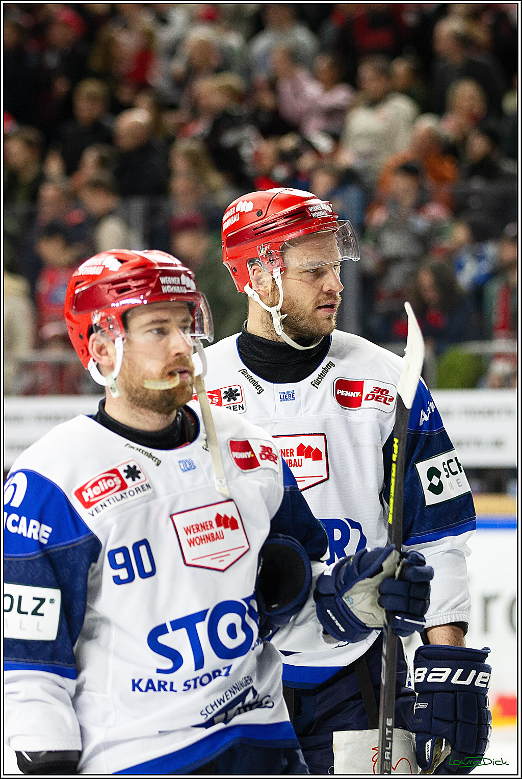 PENNY DEL; Koelner Haie- Schwenninger Wild Wings; Koeln, 14.01.2024