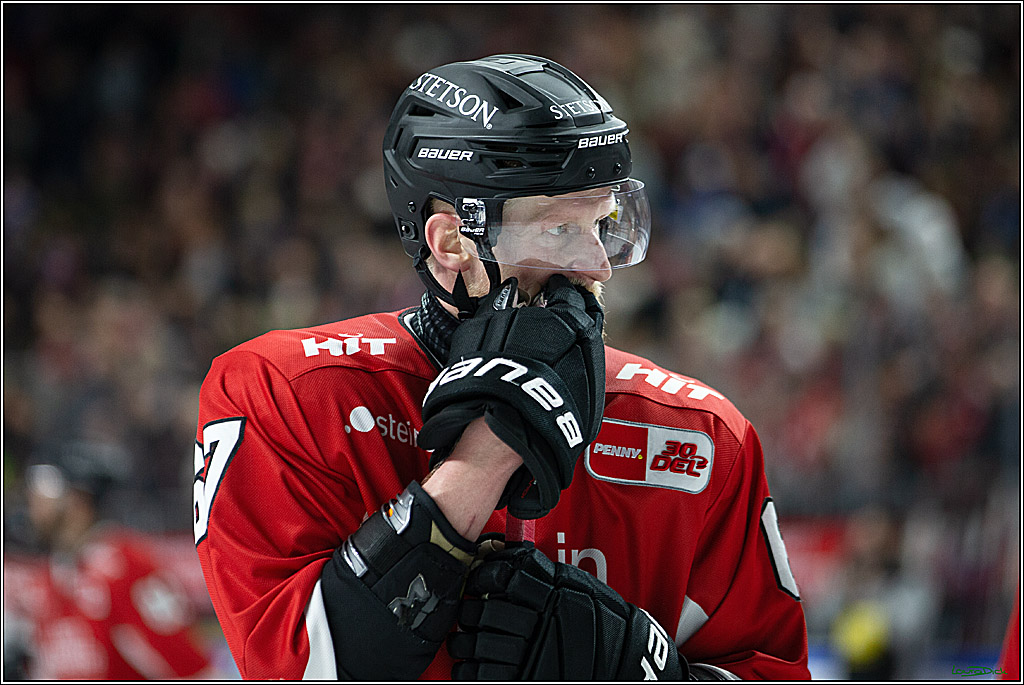 PENNY DEL; Koelner Haie- Schwenninger Wild Wings; Koeln, 14.01.2024